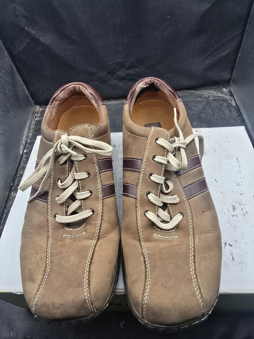 Skechers Men's Tan Oxford-Derby with Brown Stripes